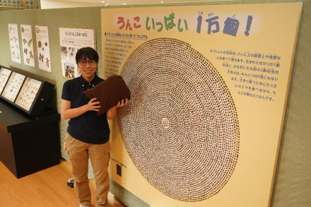 虫のうんこに注目！　形で分類し180種展示　”落とし主”のクイズも／兵庫・丹波市