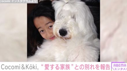 Cocomi＆Koki,  “愛する家族””が天国へ旅立ったことを報告「長生き偉かったぞー！」