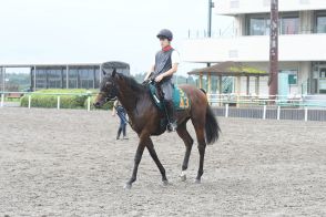 【今日の注目新馬】祖母が帝王賞馬のスティーヴバローズ　上原佑師「新馬からやれてもいい」／福島５Ｒ