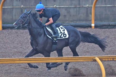 【中京記念・コメントのツボ】来週から仏遠征の田口はニホンピロキーフに騎乗「結果で恩返ししたい」　重賞初Ｖへセオ「動きはいい」