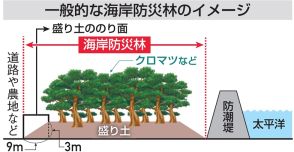 【震災・原発事故１３年】福島県整備の浜通り海岸防災林　のり面の維持管理不十分　住民生活の影響懸念