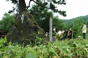 名も無き墓地と枯れた松の木　かつて起こった暗い出来事の足跡