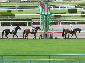 【小倉5R新馬戦結果】モズアスコット産駒ブルーレースが3馬身半差で完勝