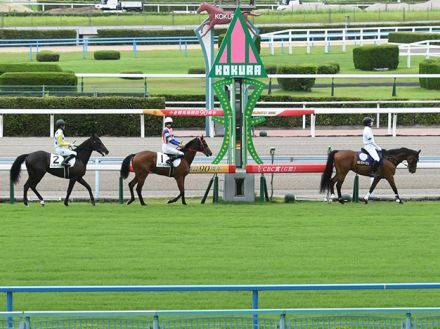 【小倉5R新馬戦結果】モズアスコット産駒ブルーレースが3馬身半差で完勝