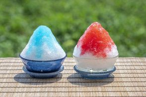 【一緒に暮らせる？】かき氷に“1000円”出す妻は《無駄遣い》なのか…？「原価120円」「そもそも別物」SNSで議論