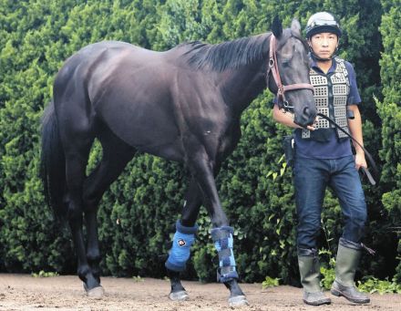 【２歳新馬戦】１番人気ブラックルビーが押し切る 戸崎「攻め馬通りでした」