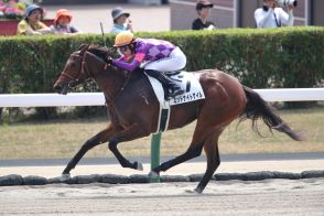 【札幌1R】ドレフォン産駒 ミッドナイトゲイルが人気に応える…5馬身差圧勝