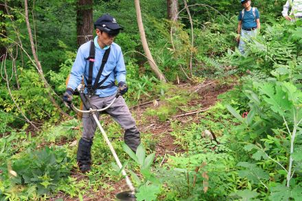 雑草に隠れた苗木の位置がわかった！林業に複合現実ゴーグル　「将来の自動化へ一歩」過酷な夏場の下刈りを効率化