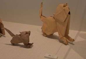 創作折り紙作家、吉沢章を知っているか　出身の栃木・上三川が町おこしに