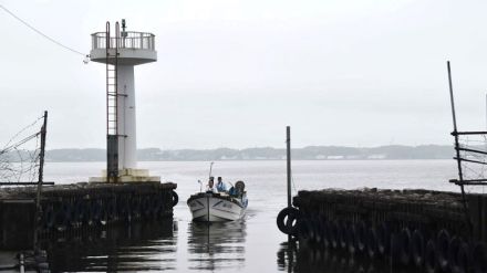 魚影なき霞ケ浦・北浦で　ワカサギ漁21日解禁