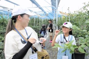 小高のブルーベリー堪能　親子で学ぶ農林水産業見学体験ツアー　福島県相双農林事務所　農業再開状況に理解