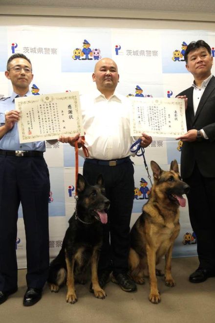 お手柄警察犬　不明者発見　指導士とともに感謝状　茨城県警筑西署