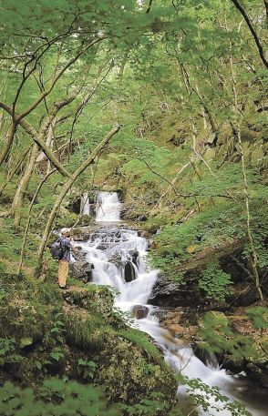 【ふくしま創生臨時支局・矢祭町】癒やしの水音　滝川渓谷