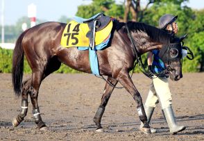 【アイビスＳＤ・西山の特注馬】昨年は１番人気で最下位　ファイアダンサーのリベンジに期待