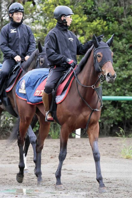 【クイーンＳ】ウンブライルは入念な乗り込みで重賞初Ｖ狙う　木村調教師「小回りへの対応もポイント」