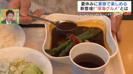 深海グルメの“辛”海カレーも…夏休み、アクアマリンふくしまで学んで食べて楽しもう!福島・いわき市