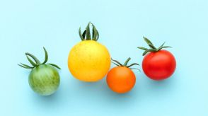 【実は色によって栄養価が違うミニトマト・トマト】赤・オレンジ・黄色・緑…どれが一番栄養価が高い？