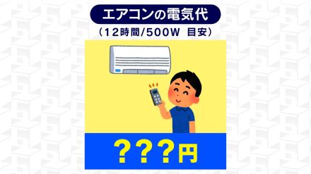 熱中症対策にエアコン使用を　電気代がもったいないでは済まされない　気象予報士が解説