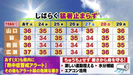 【山口天気 夕刊7/22】梅雨明けとともに猛暑が一段と加速…当面は危険な暑さ止まらず　台風3号も県内には寄り付かず