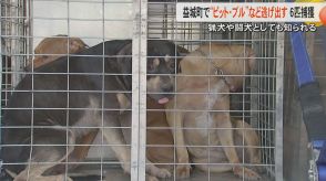 「中型犬がうろついている」熊本・益城町で猟犬のピット・ブルなど6匹捕獲　飼い主を公務執行妨害容疑で現行犯逮捕