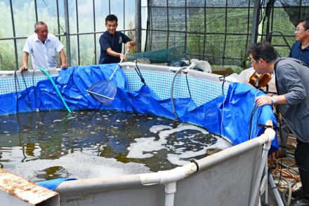 徳島県那賀町の委託でエビ養殖の実証実験へ　鋸南の企業（千葉県）