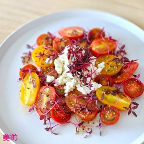 栄養価が高いスプラウトに注目！「ミニトマトとアマランサス、リコッタチーズのサラダ」【Today’s SALAD】