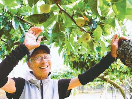 〝金農旋風〟再び　吉田兄弟の祖父「甲子園に行かにゃ駄目だ」