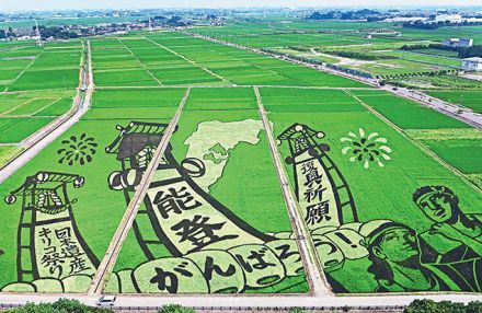 能登応援の田んぼアート　祭り描き復興祈願