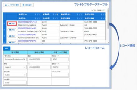 テラスカイ、Salesforceの画面開発ツール「SkyVisualEditor Ver.21.0」を提供