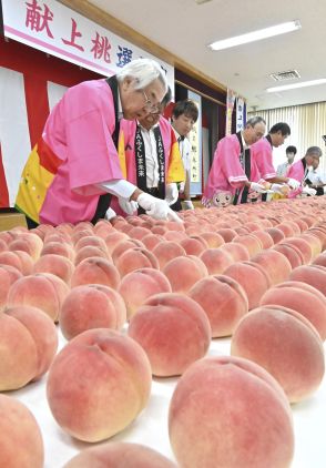 「献上桃」箱詰め　福島県職員やJA指導員ら180個厳選、皇室や宮家にきょう発送