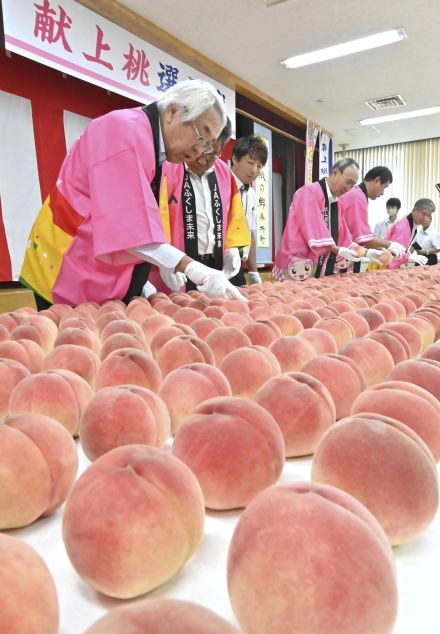 「献上桃」箱詰め　福島県職員やJA指導員ら180個厳選、皇室や宮家にきょう発送