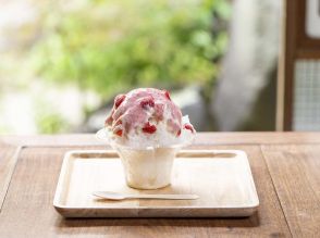 サントリーの“天然水”で作った南アルプスの麓・山梨県北杜市だけで食べられる絶品の「かき氷」が登場！