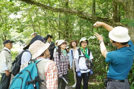 多様な草木を愛でながら散策　「自然観察会」　ウグイスの鳴き声も／岡山・鏡野町