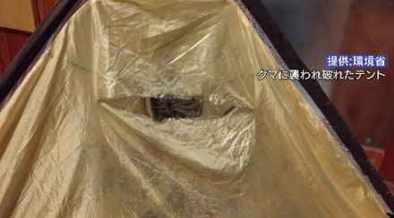 「横になっていたらクマが覆いかぶさってきた…」穂高連峰の山小屋で「テント場」利用を中止…クマの出没が相次ぎ