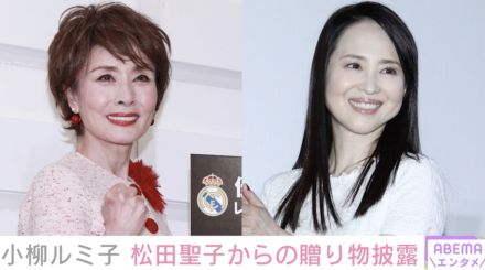 小柳ルミ子、松田聖子からのメールに感激「皆さんにお見せしたい位うれし過ぎる内容」