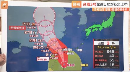 今夜・関東北部は激しい雨・雷雨に注意　台風3号は非常に強い勢力 あす沖縄石垣島・与那国島地方にかなり接近か