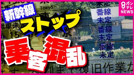 新幹線依存の危うさ　飛行機の16倍の輸送力　東海道新幹線ストップで『客大混乱』　北陸新幹線の代替機能に期待