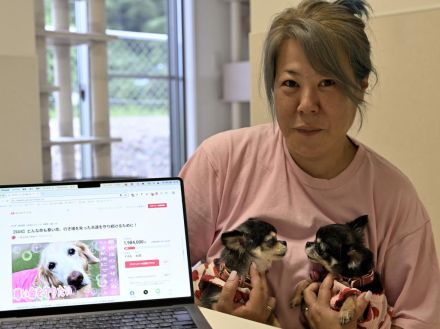 諫早の動物愛護団体、ペットバブル崩壊による保護犬・猫増で支援呼びかけ