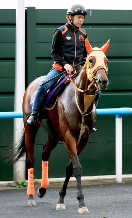 【クイーンＳ】メンバー唯一のＧ１馬が意地見せる　１年９か月ぶり復活星へ調整順調