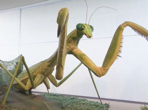 約3mの巨大カマキリロボットも…参加体験型の企画展「あそべる！昆虫ワールド」愛知県岡崎市で9/8まで