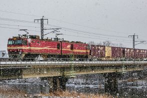 線路見れば一目瞭然？ 日本の鉄道が「災害に弱い」残念な理由 1か所不通で“どうにもできなくなる”ギチギチ思想