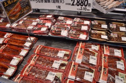 土用の丑の日　「特大」ウナギ人気　背景に生産者、消費者双方の事情