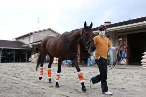 【クイーンＳ】地力上位！唯一のＧＩ馬スタニングローズは函館で調整中