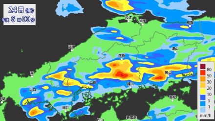 夜中に局地的に激しい雷雨となった広島県　今夜遅くにかけても激しい雨のおそれ　大気の状態が非常に不安定で積乱雲が発達見込み　気象台は「大雨と落雷及び突風に関する情報」発表中【30分ごと降水シミュレーション】