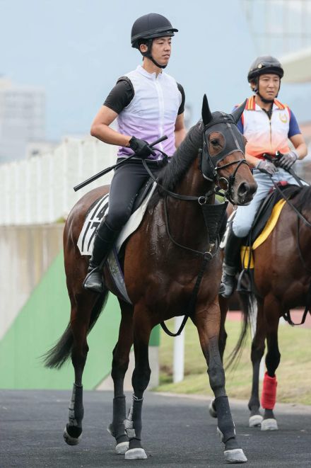 ドゥアイズ得意札幌で重賞初制覇狙う　笠原助手「徐々に落ち着いてきた」／クイーンＳ