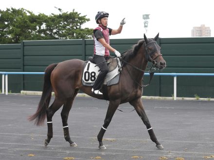 アルジーヌが母子制覇に挑む　松岡助手「体に芯が入って、すべて良くなってきた」／クイーンＳ