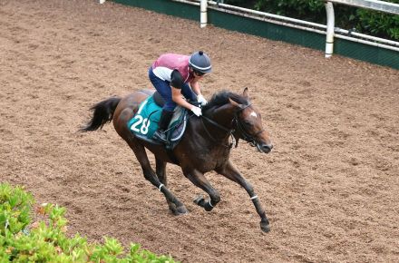 【ＰＯＧ調査隊】両親が海外で活躍した良血レッドシュテルン　８月４日札幌芝千八が目標