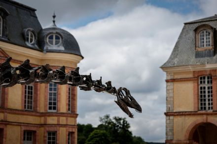 【今日の1枚】城の窓をうかがう長い首 フランス