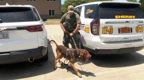 自閉症の少年を路上で発見、警察犬が「逆ルート」で自宅見つける　米