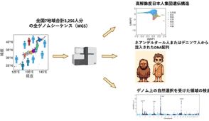 日本人祖先の「3系統説」、従来の定説に修正迫る ゲノム解析で進化人類学は「人類、日本人の本質」を探究